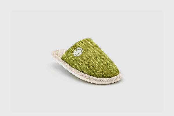 Whimsy Slippers